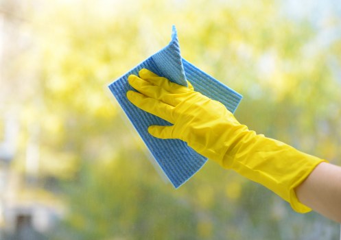 Patio cleaning service for a Kennington courtyard garden