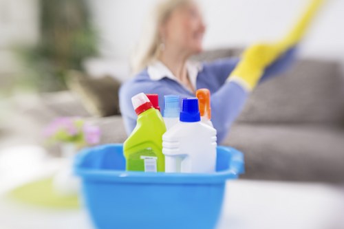 Local cleaner working in a Kennington apartment