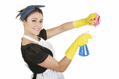 Local cleaner providing routine cleaning in a Kennington apartment